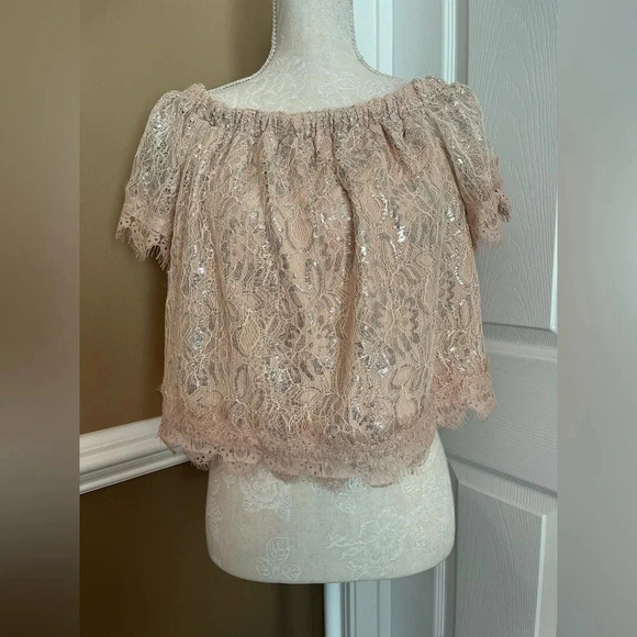 Revolve Endless Rose Off The Shoulder Shimmer light pink & silver top size M NWT - Picture 3 of 16